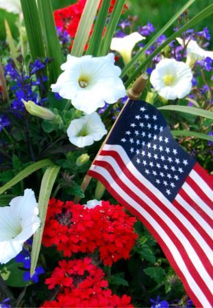 A close-up view of a small American flag placed among vibrant flowers. White petunias are prominent, along with clusters of red flowers and hints of blue flowers in the background, creating a patriotic display.