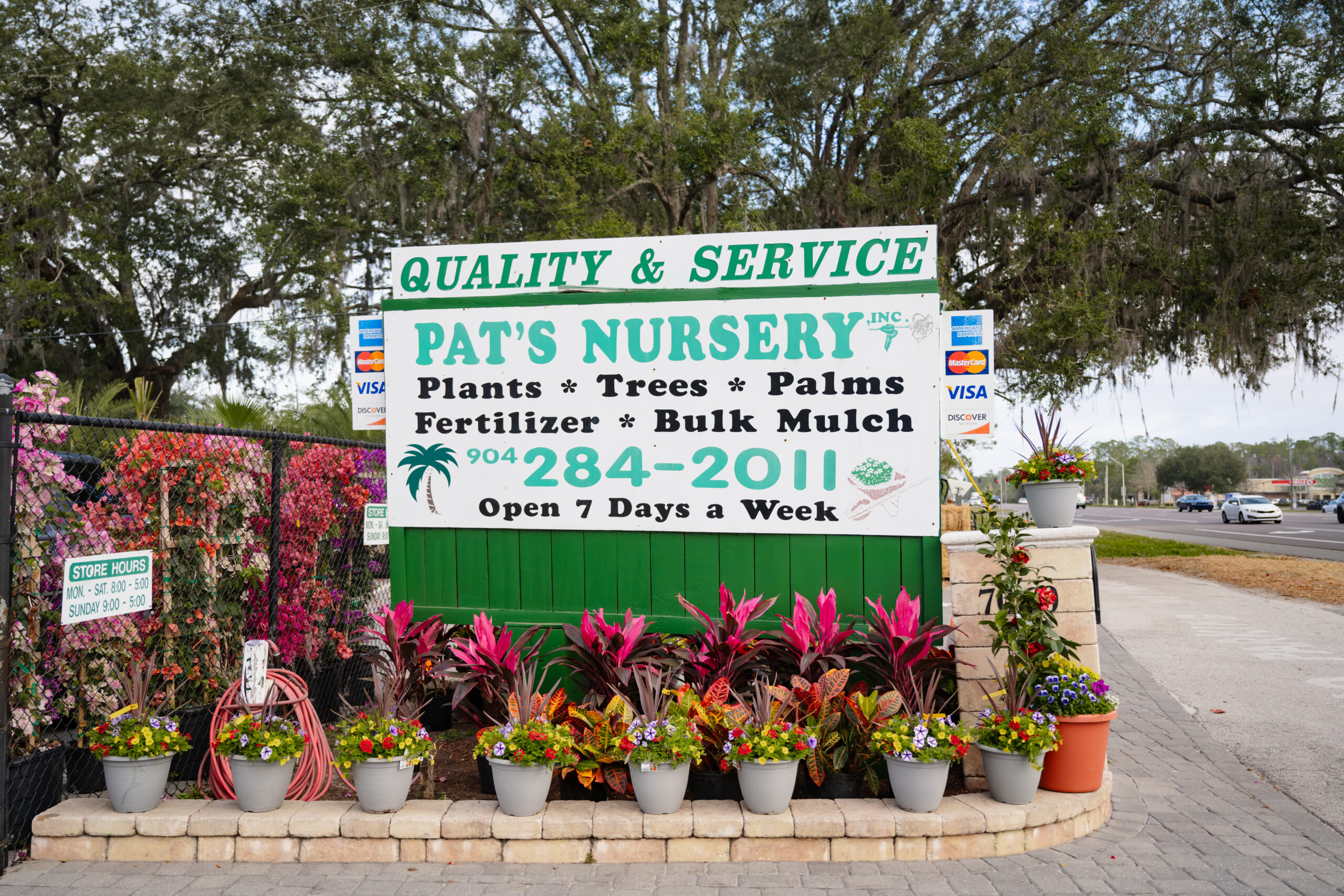 P.patara Garden#1 親株 親株 P. Patra Garden #1 子株販売中🌱 #platyceriumpatragarden1